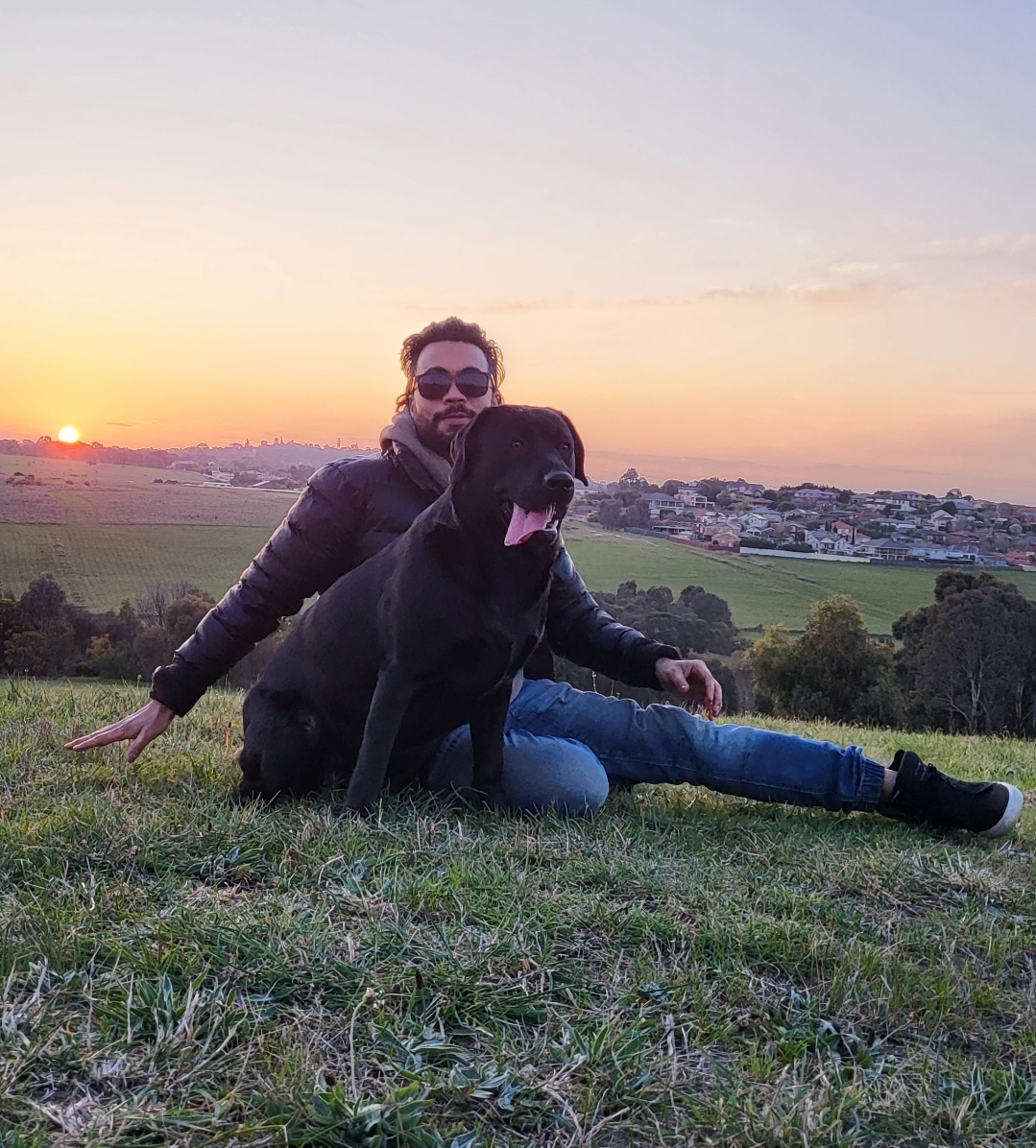 A black Labrador out walking with a handler at dusk, part of the daily exercise on a Donnybrook dog boarding stay